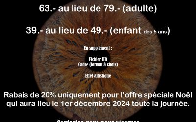 🎁 Offre spéciale Noël 🎁