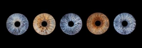 Iris Photo Jura