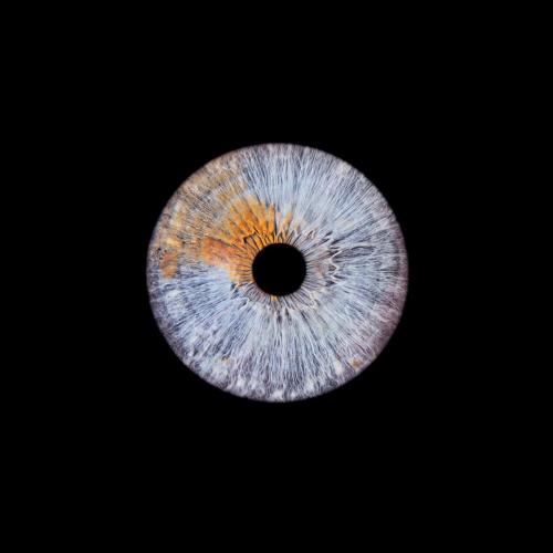 Iris Photo Jura