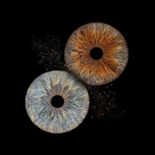 Iris Photo Jura
