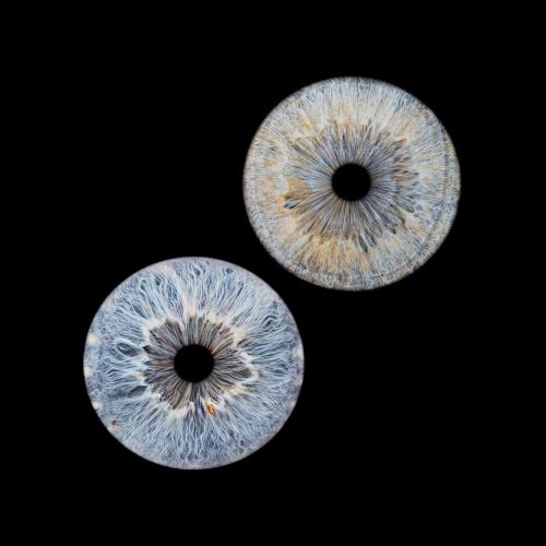 Iris Photo Jura