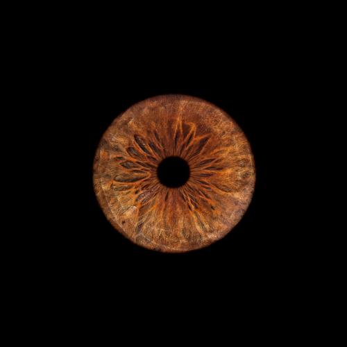 Iris Photo Jura