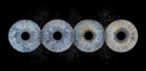 Iris Photo Jura