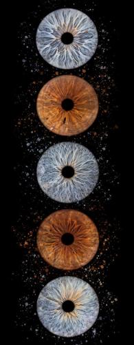 Iris Photo Jura