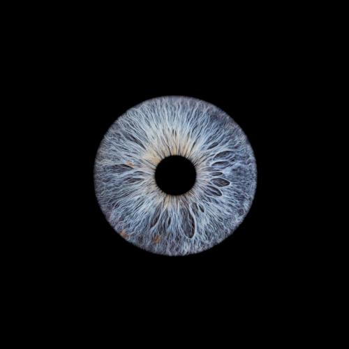 Iris Photo Jura