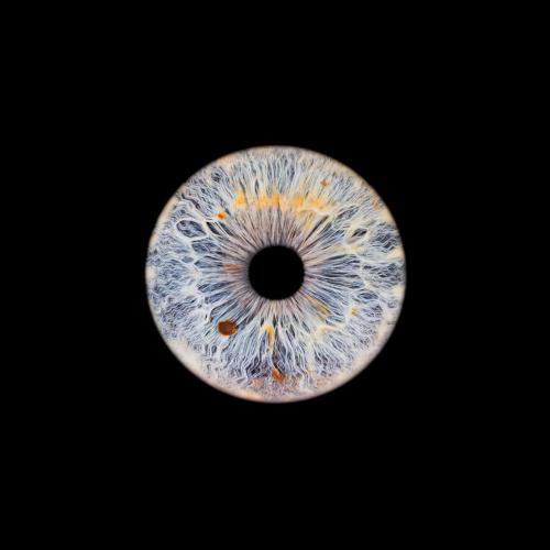 Iris Photo Jura