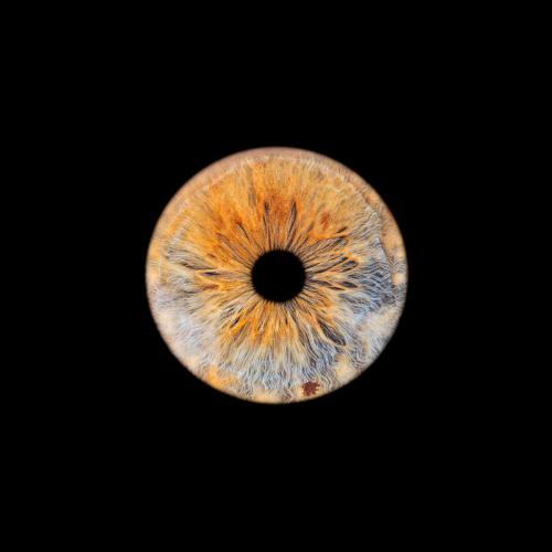 Iris Photo Jura