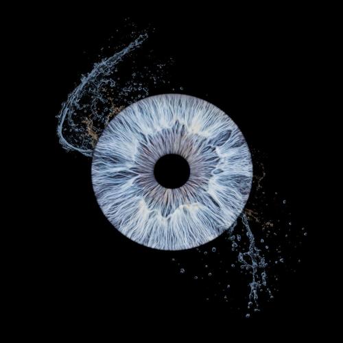 Iris Photo Jura