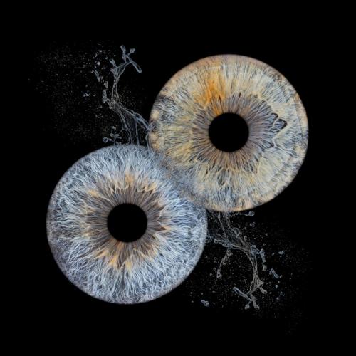 Iris Photo Jura