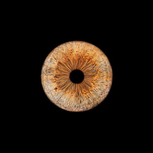 Iris Photo Jura