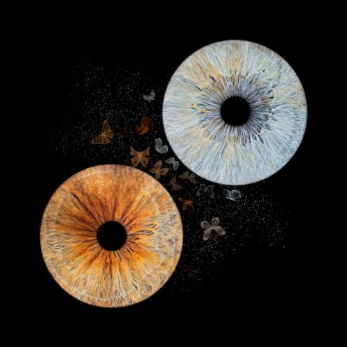 Iris Photo Jura