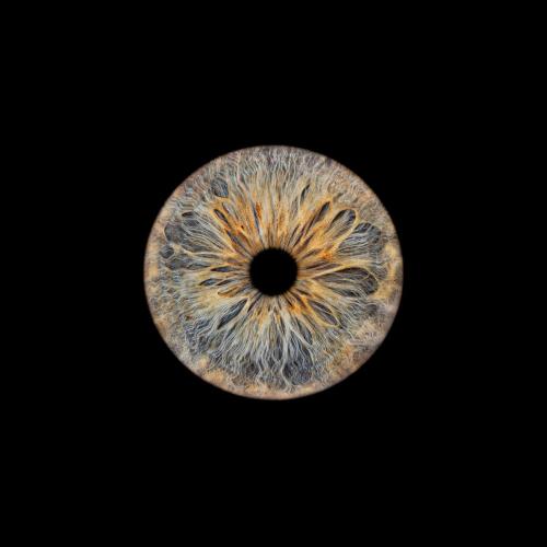 Iris Photo Jura