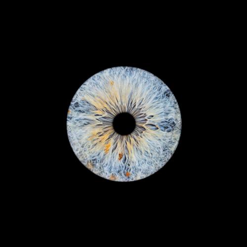 Iris Photo Jura