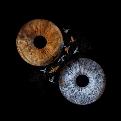 Iris Photo Jura