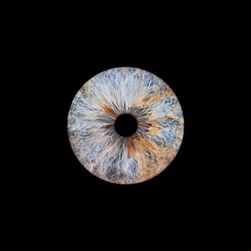 Iris Photo Jura