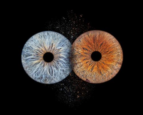 Iris Photo Jura
