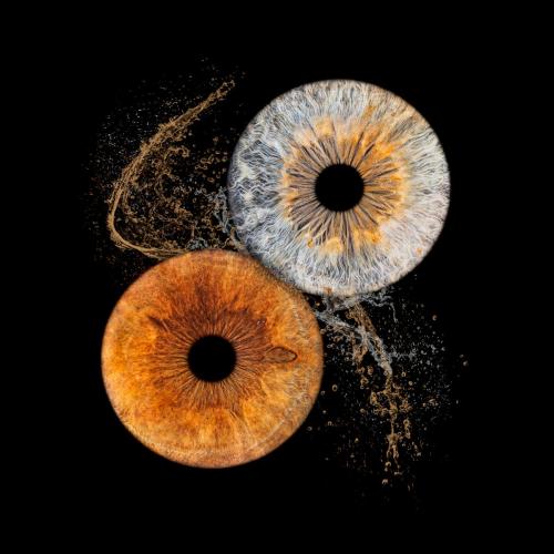 Iris Photo Jura