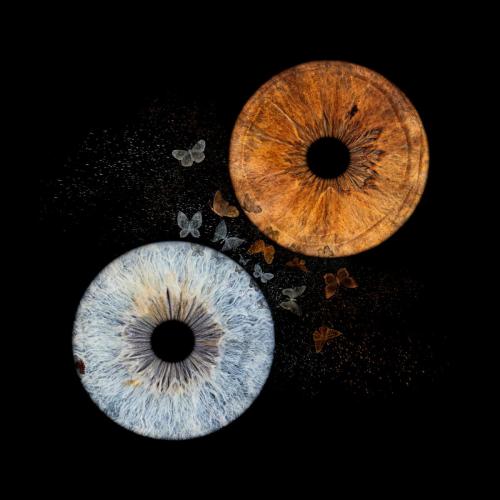 Iris Photo Jura