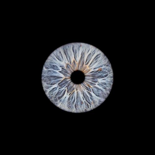 Iris Photo Jura