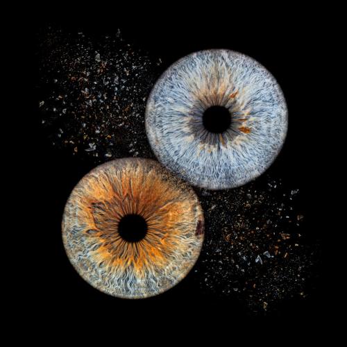 Iris Photo Jura