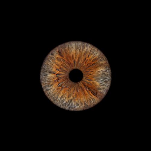 Iris Photo Jura
