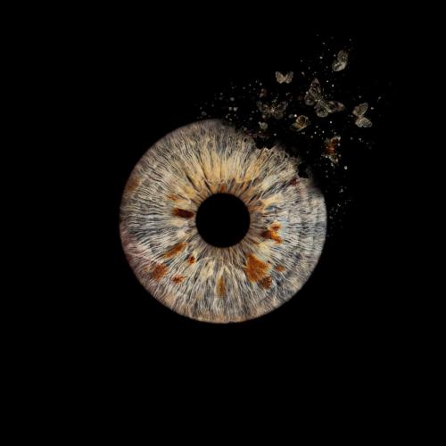 Iris Photo Jura
