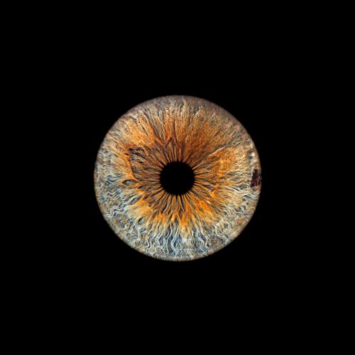 Iris Photo Jura