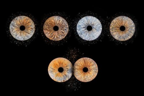 Iris Photo Jura