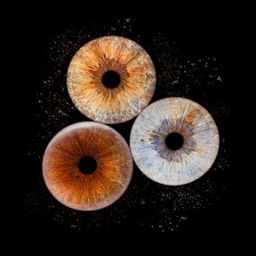 Iris Photo Jura