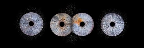 Iris Photo Jura