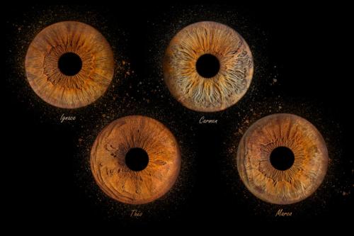 Iris Photo Jura
