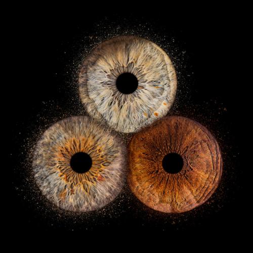 Iris Photo Jura