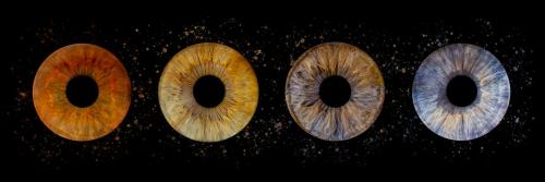 Iris Photo Jura